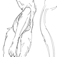 black_and_white Feet Gay Monochrome Penis Raptor reed sketch // 579x1125 // 211.8KB