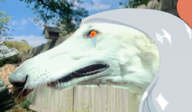 Animal Color edit Fang real_life // 834x488 // 813.8KB