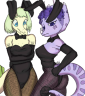 Bunnysuit Color cosplay Stella trish // 688x777 // 478.5KB