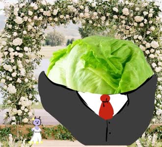 lettuce trish // 637x578 // 109.1KB